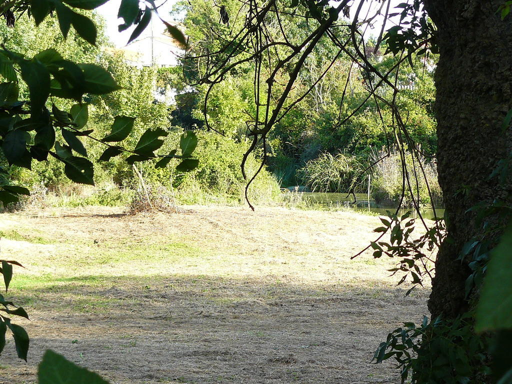 Les Plenitudes Du Rivage Villa Saint-Vincent-sur-Jard Exteriör bild